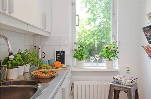 Những vị trí đặt cây cảnh mang thiên nhiên vào nhà bạn-P2