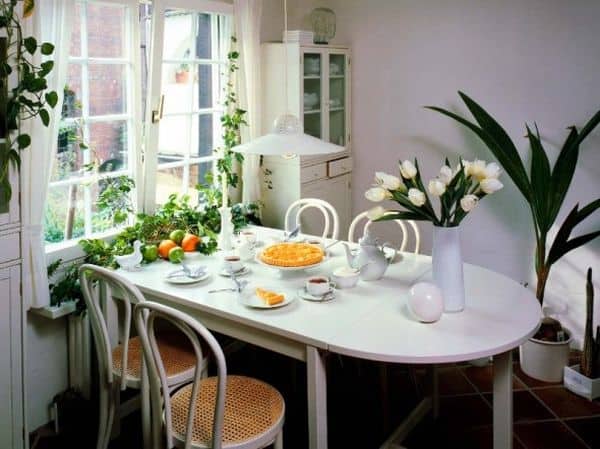 Trang trí cây cảnh trong nhà với chức năng lọc khí – Phần 1